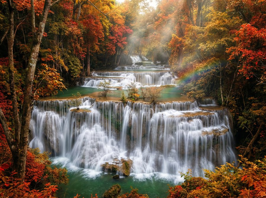 搜同网动漫文化视频