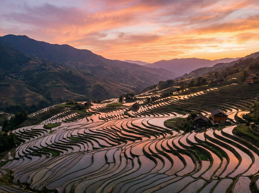 搜同网社区美图视频